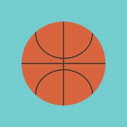 开云入口-中国篮球职业联赛市场竞争环境与发展策略，中国竞技篮球的发展趋势