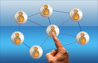 开云官网在线-意甲球队季中高强度赛程负荷与表现关系研究，意甲各项记录