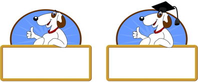 开云体育网页版入口-校园体育节活动对学生参与度的促进作用，学校体育节活动描述